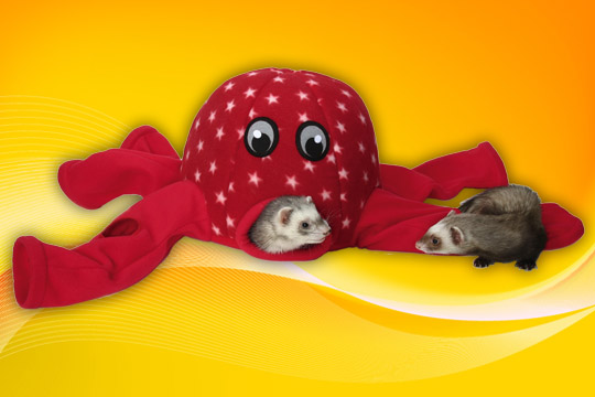 OCTO PLAY 4e808fe6efda5