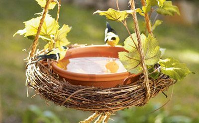 Baño para pajaros