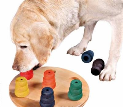 juguetes para perros 59386016 3